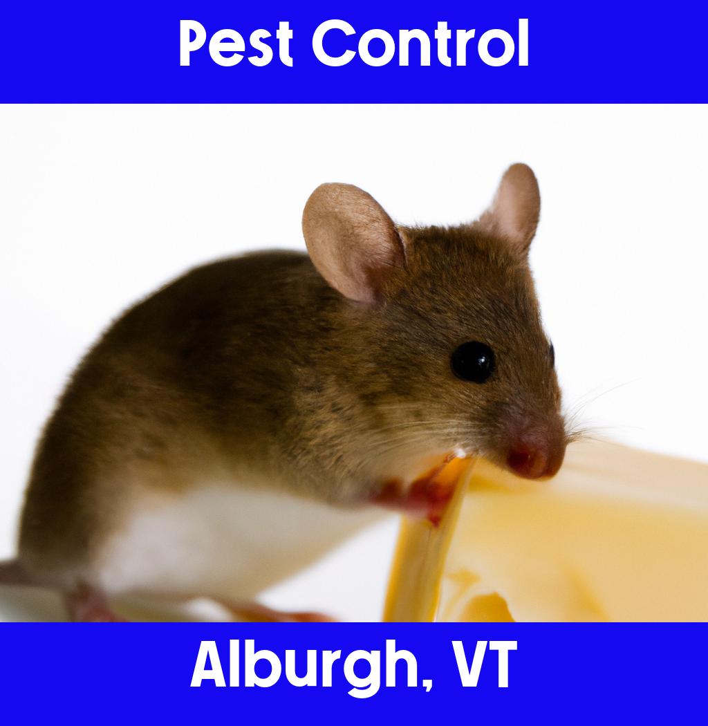 pest control in Alburgh Vermont