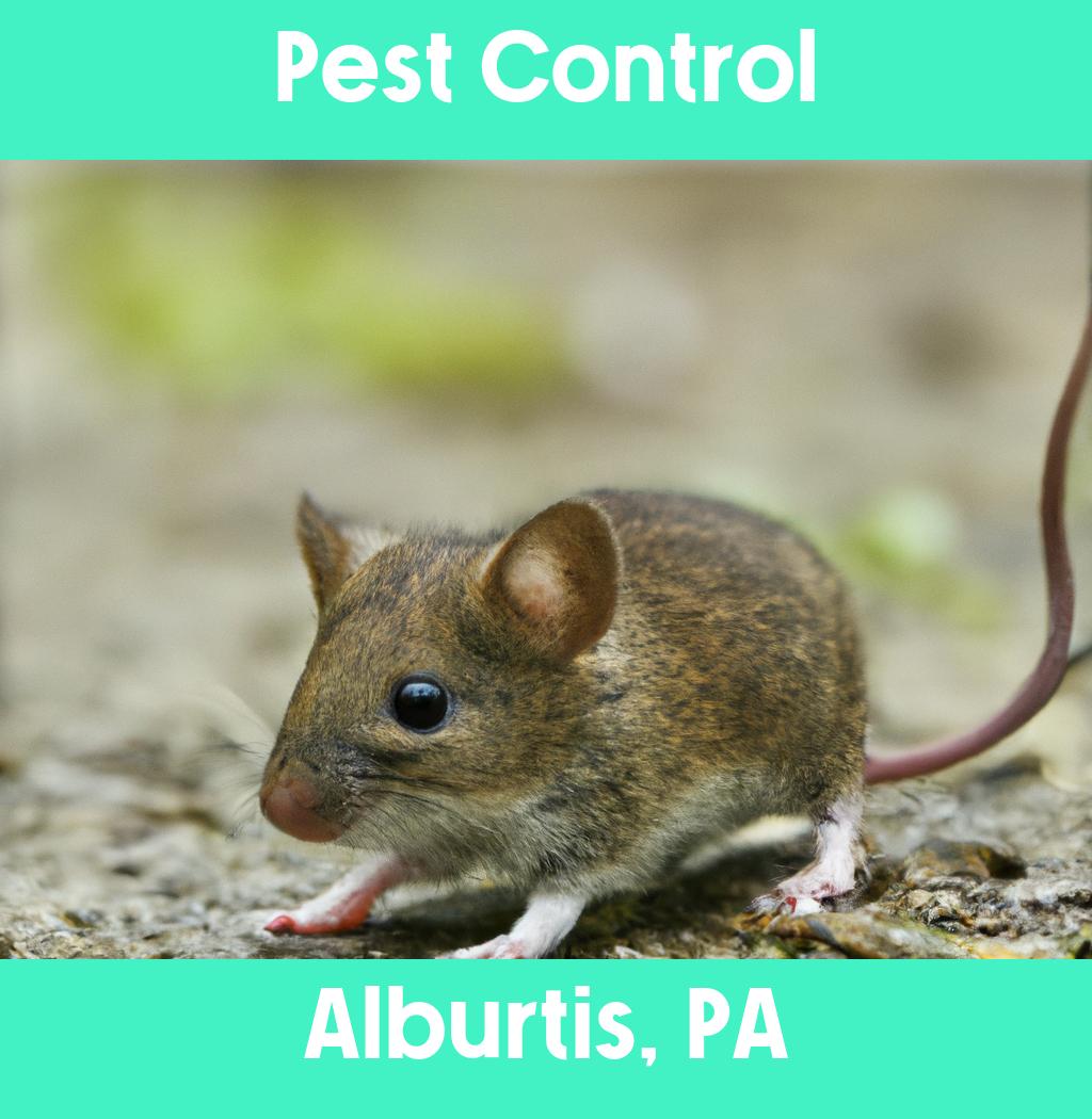 pest control in Alburtis Pennsylvania