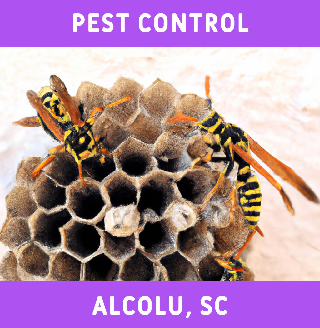 pest control in Alcolu South Carolina