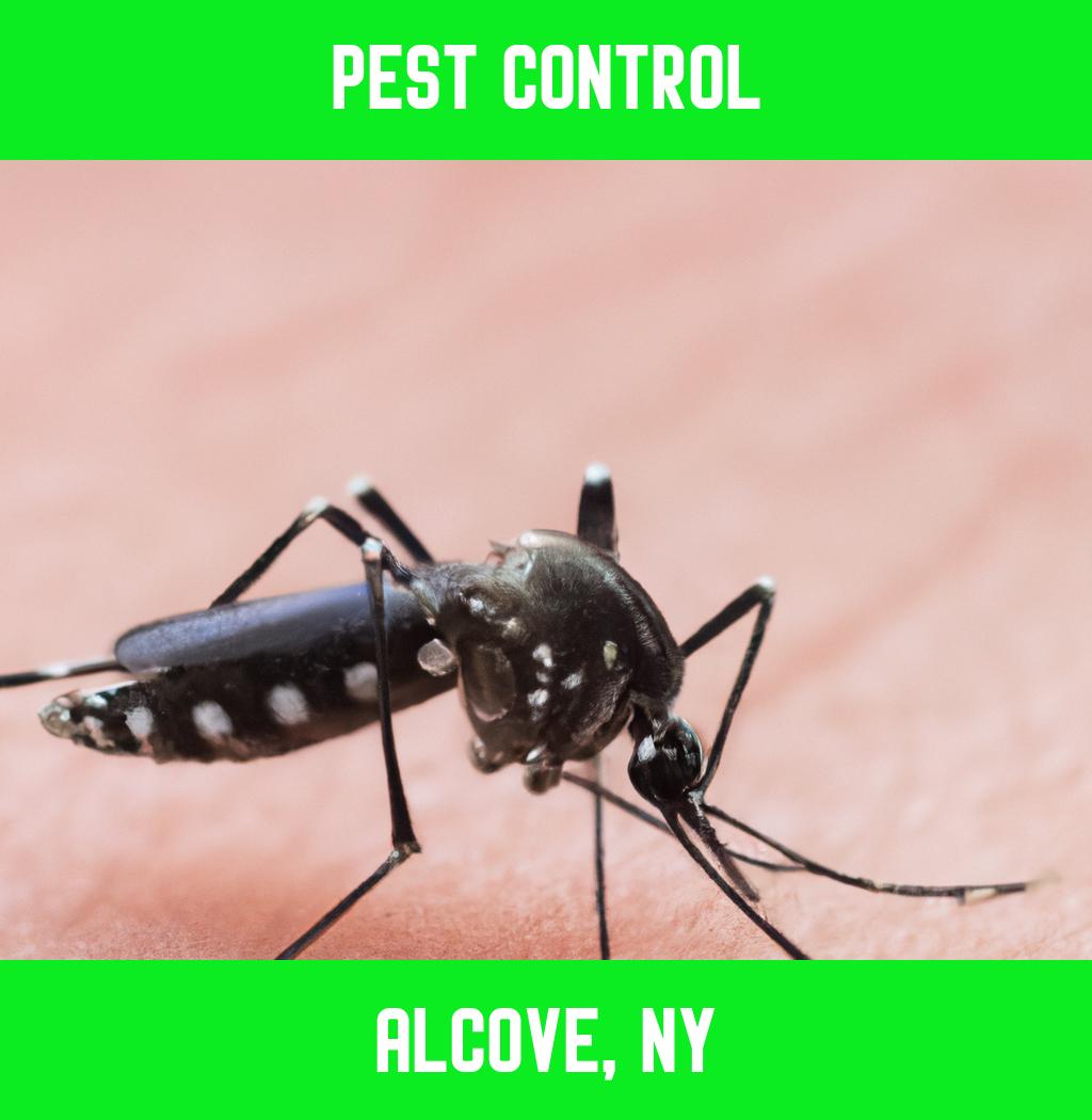 pest control in Alcove New York