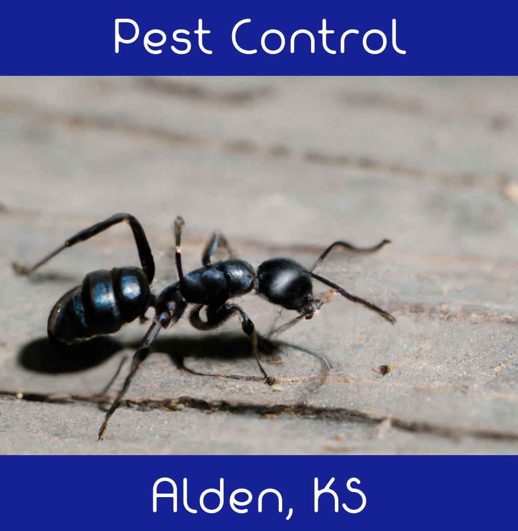 pest control in Alden Kansas