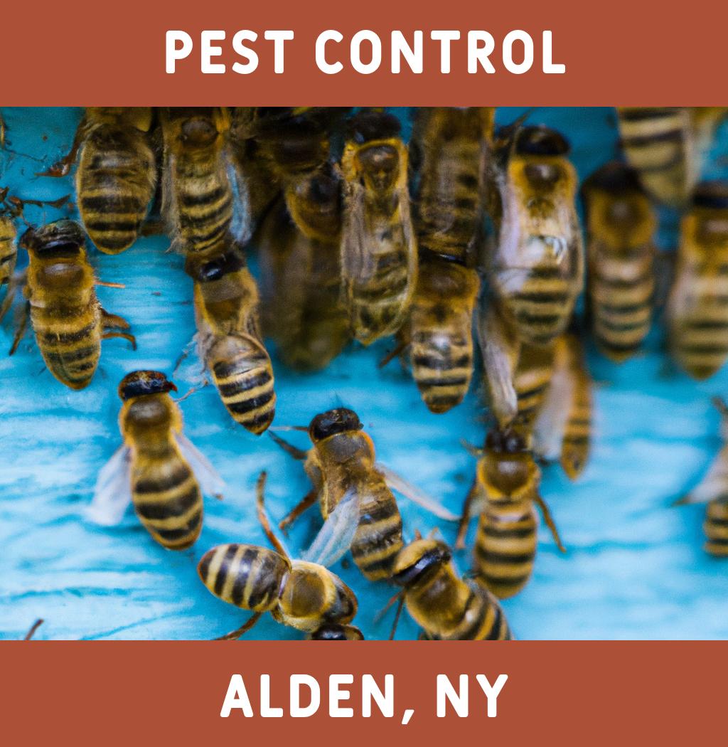 pest control in Alden New York
