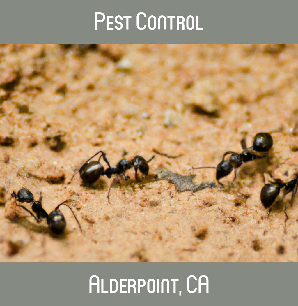 pest control in Alderpoint California