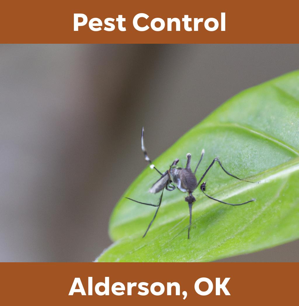 pest control in Alderson Oklahoma