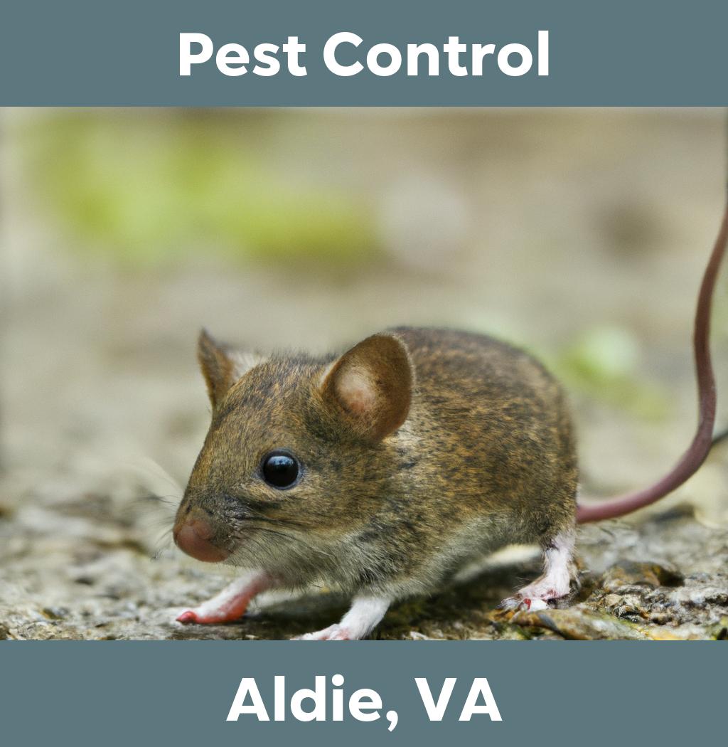 pest control in Aldie Virginia