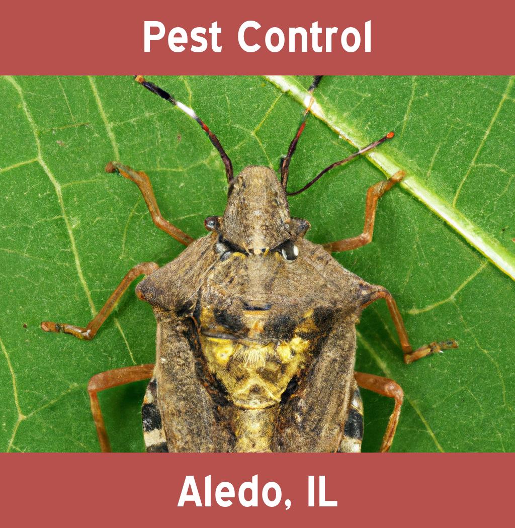 pest control in Aledo Illinois