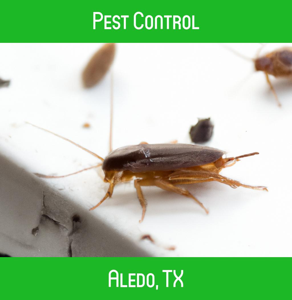 pest control in Aledo Texas