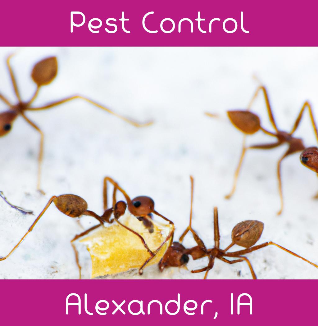pest control in Alexander Iowa