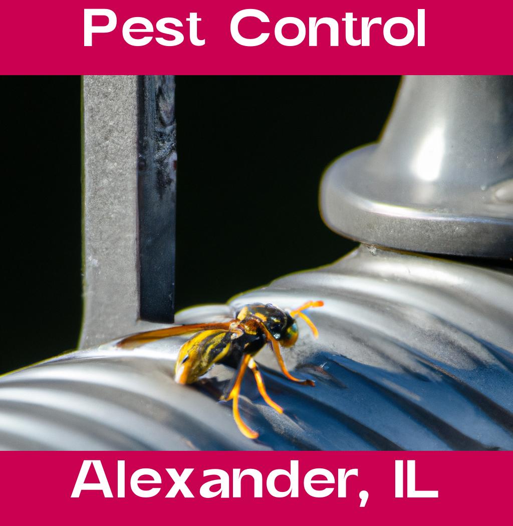 pest control in Alexander Illinois