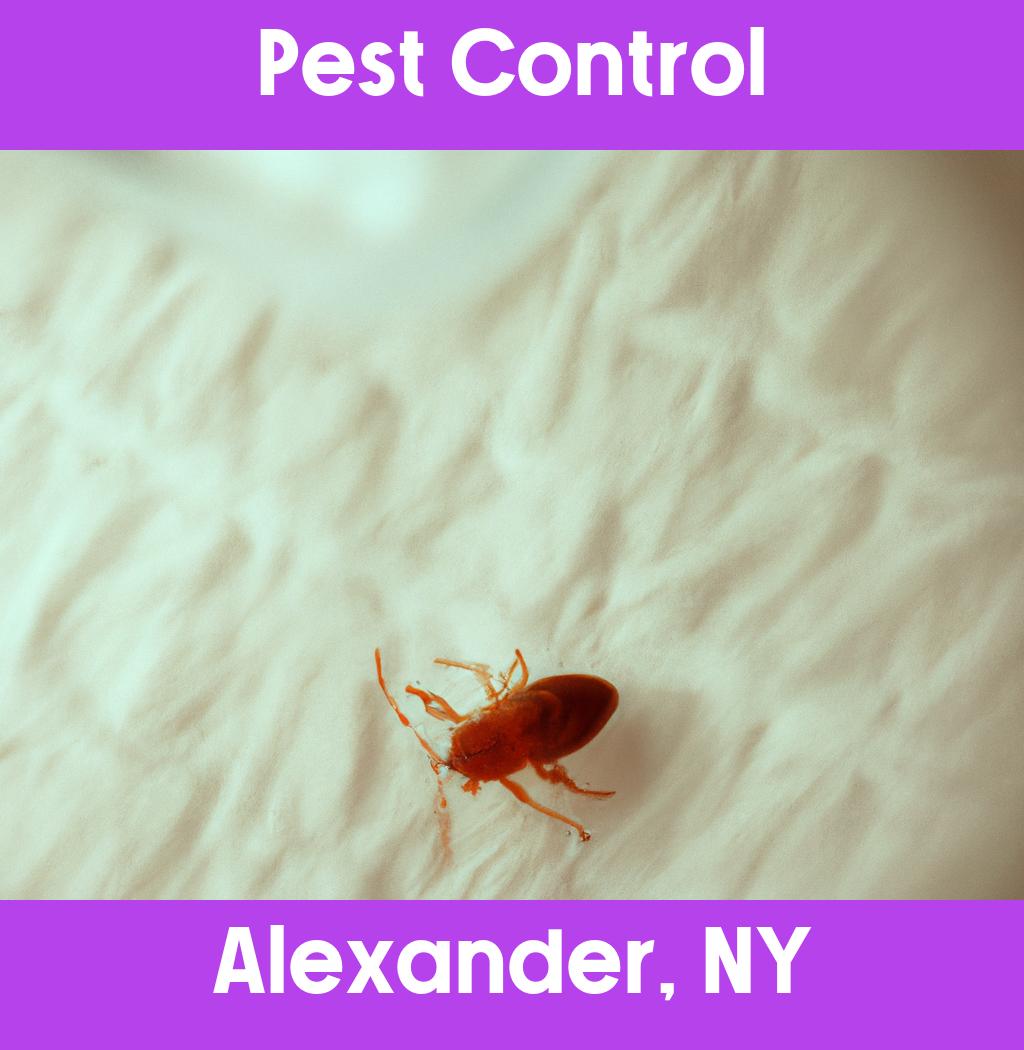 pest control in Alexander New York