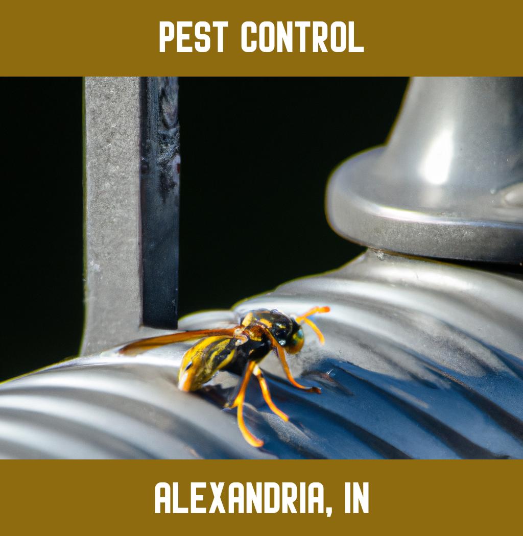 pest control in Alexandria Indiana