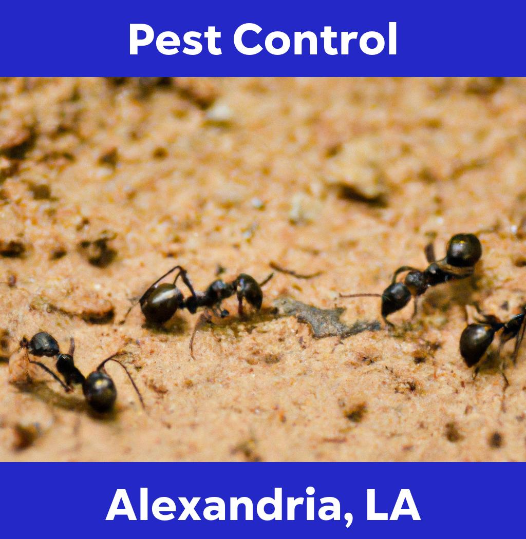 pest control in Alexandria Louisiana