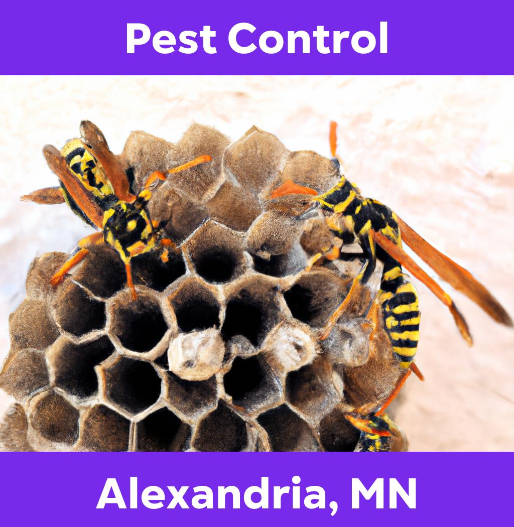 pest control in Alexandria Minnesota