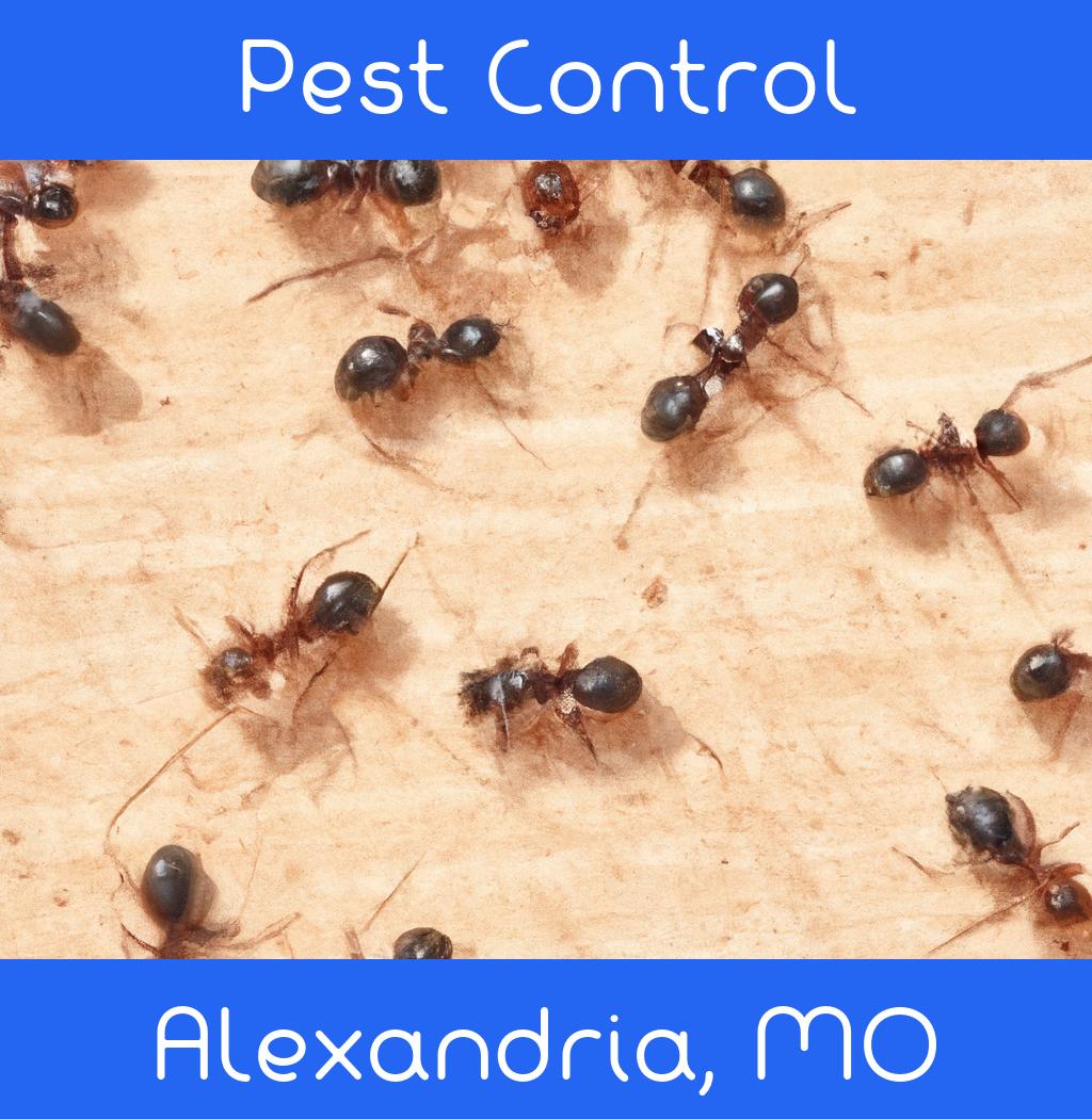 pest control in Alexandria Missouri