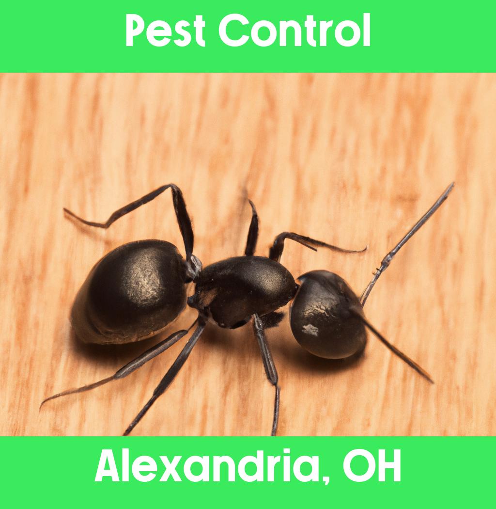 pest control in Alexandria Ohio
