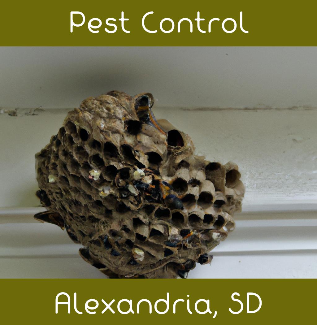 pest control in Alexandria South Dakota