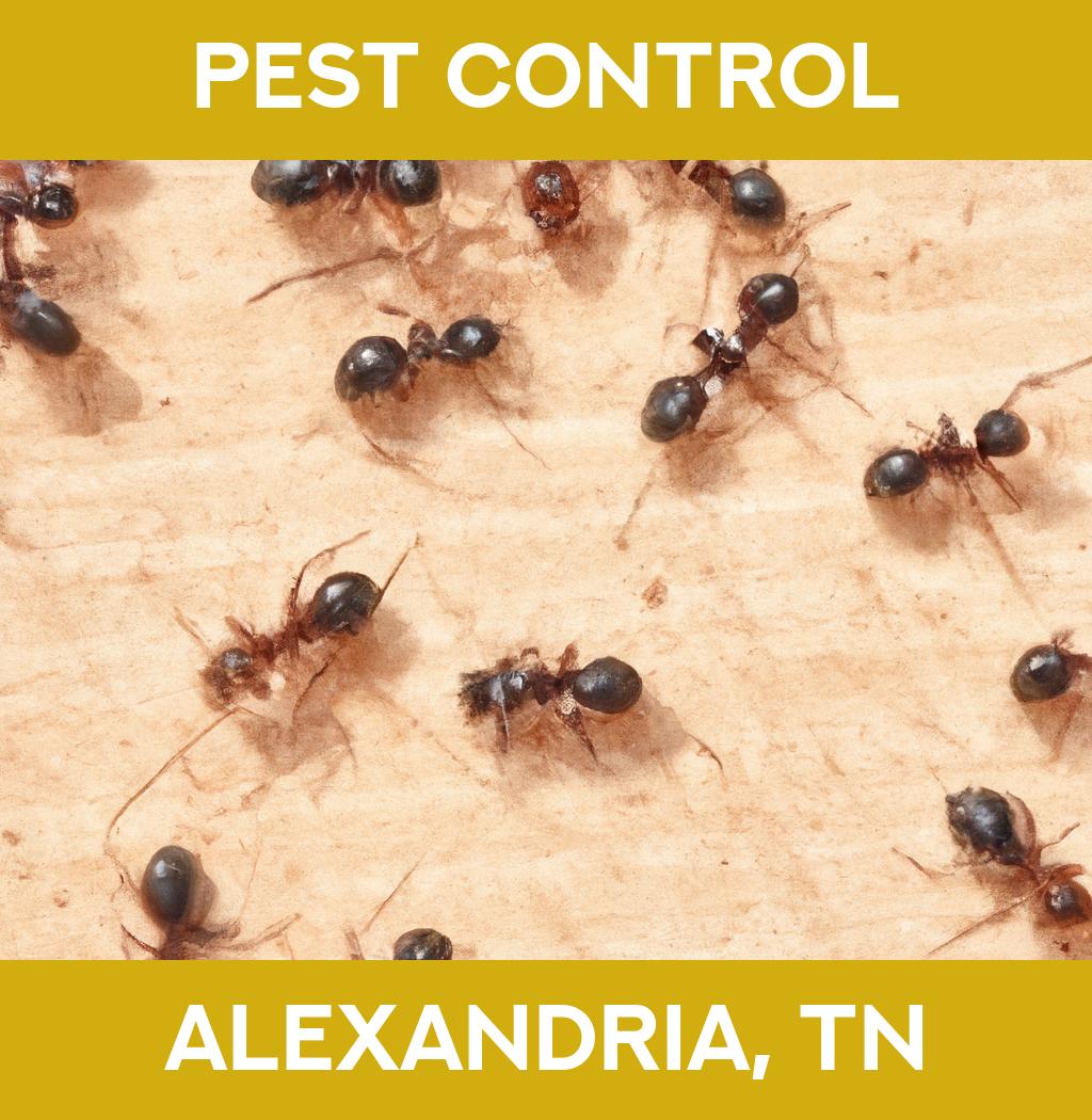 pest control in Alexandria Tennessee