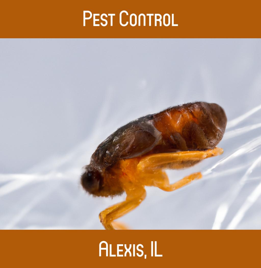 pest control in Alexis Illinois