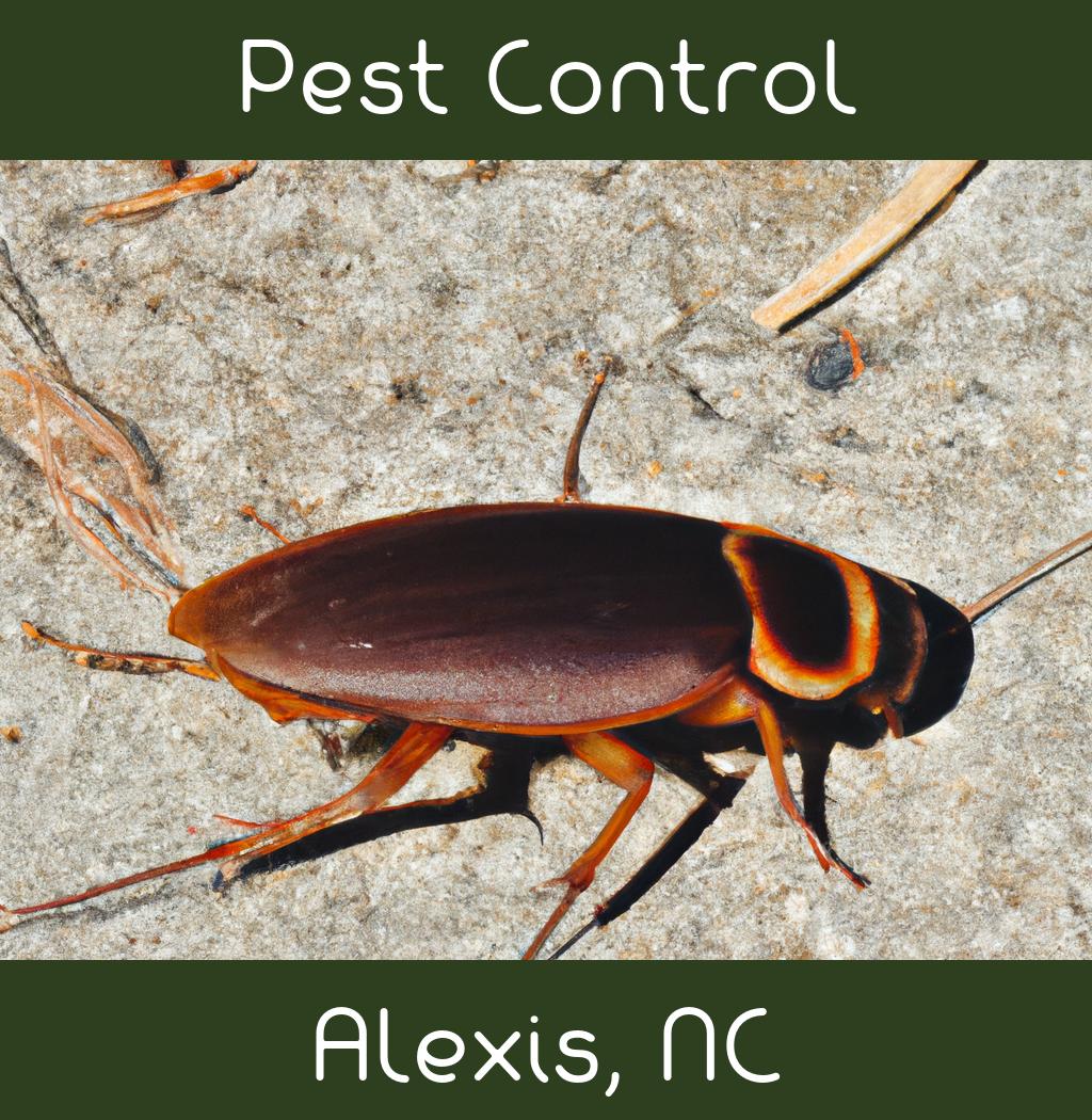 pest control in Alexis North Carolina