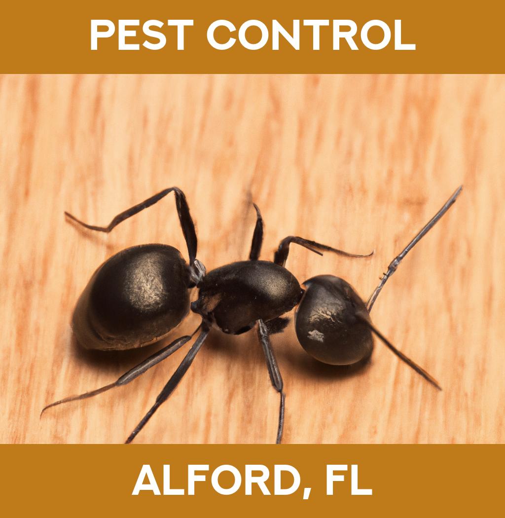 pest control in Alford Florida
