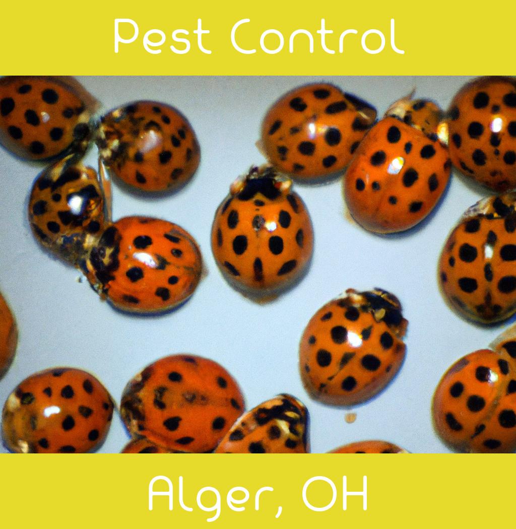 pest control in Alger Ohio