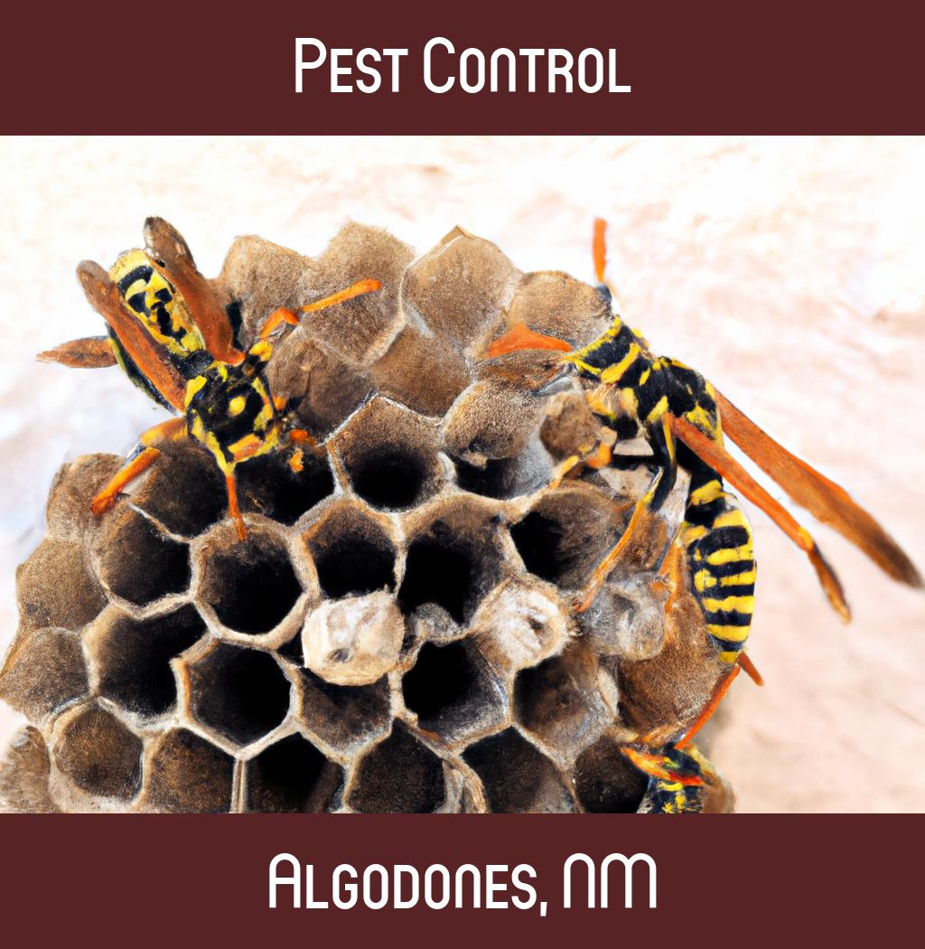 pest control in Algodones New Mexico