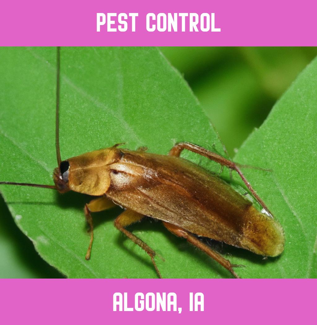pest control in Algona Iowa