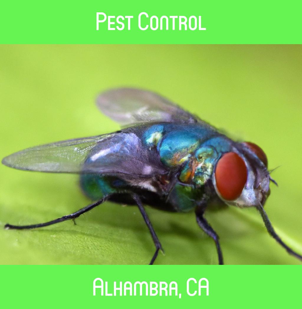 pest control in Alhambra California