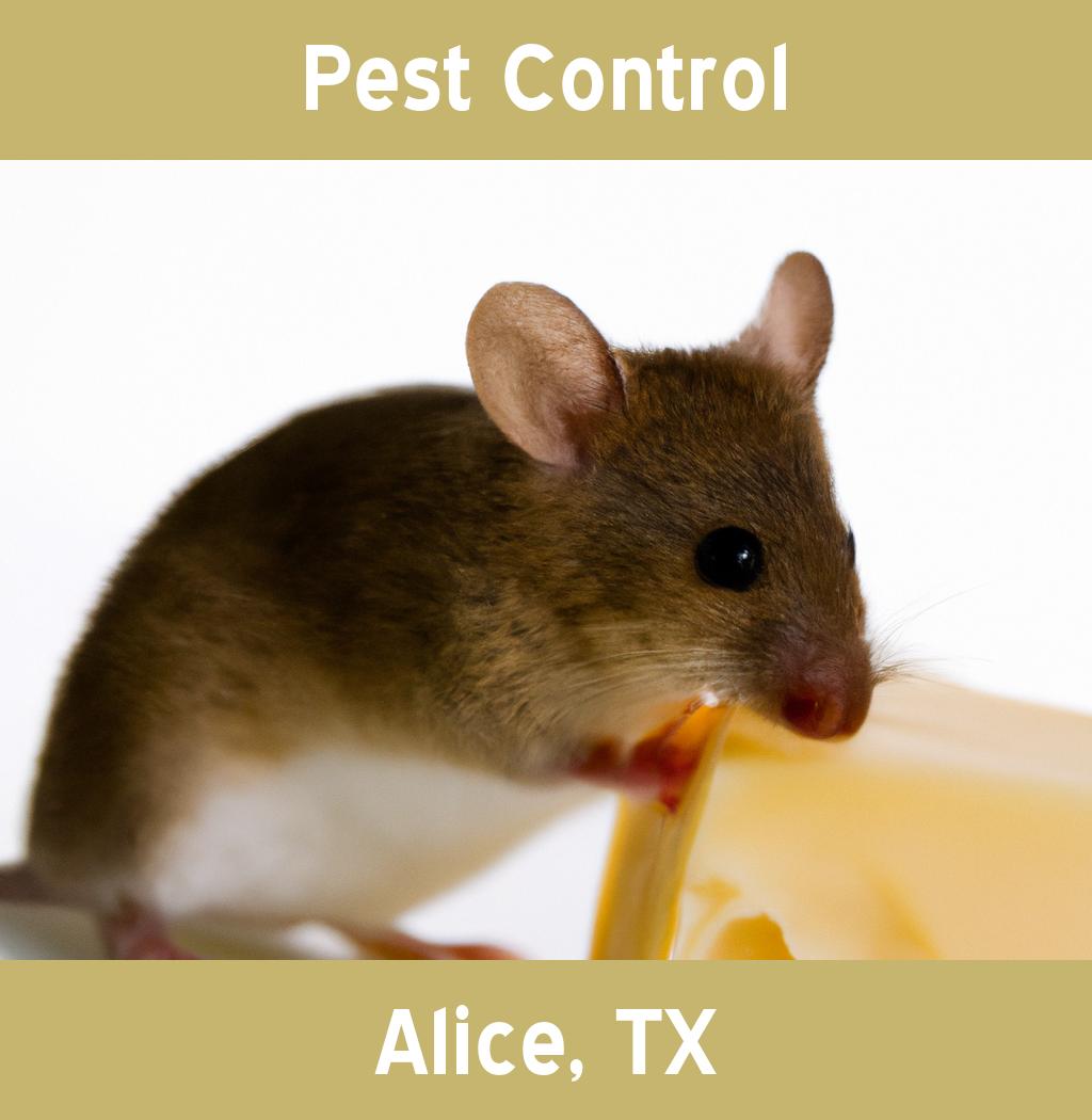 pest control in Alice Texas
