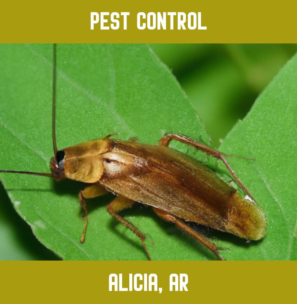 pest control in Alicia Arkansas