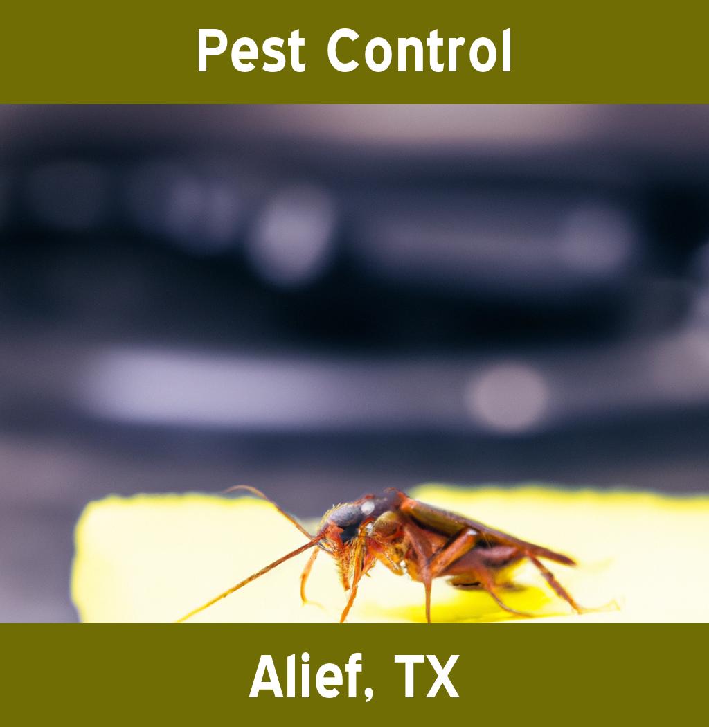 pest control in Alief Texas