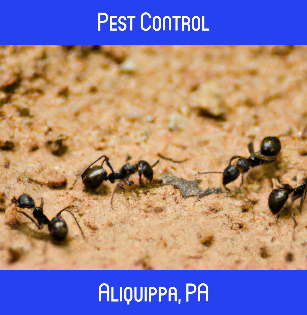 pest control in Aliquippa Pennsylvania