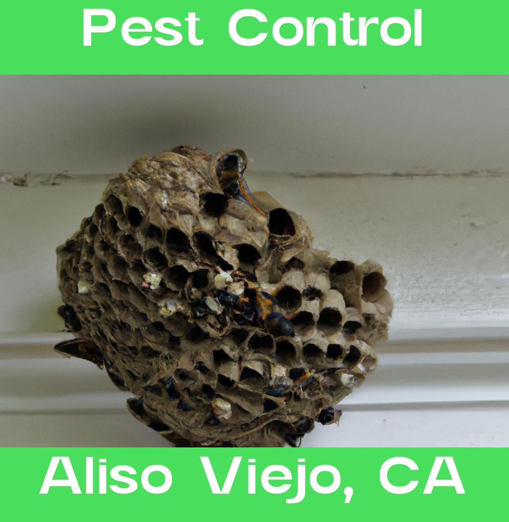 pest control in Aliso Viejo California