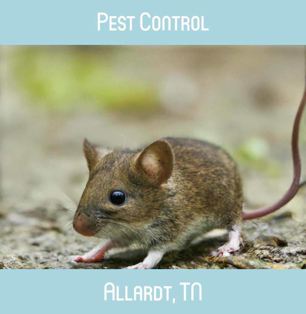 pest control in Allardt Tennessee