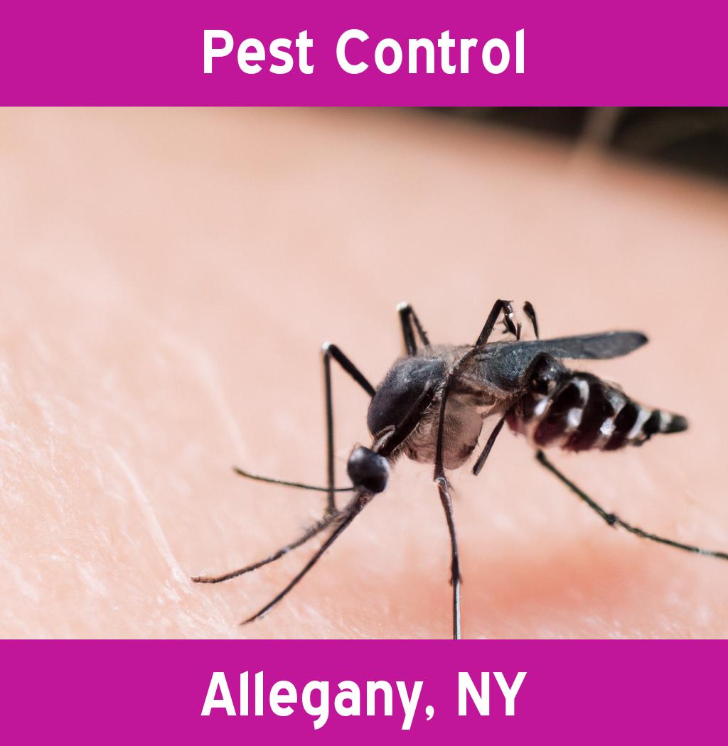 pest control in Allegany New York