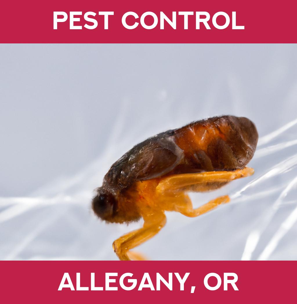 pest control in Allegany Oregon