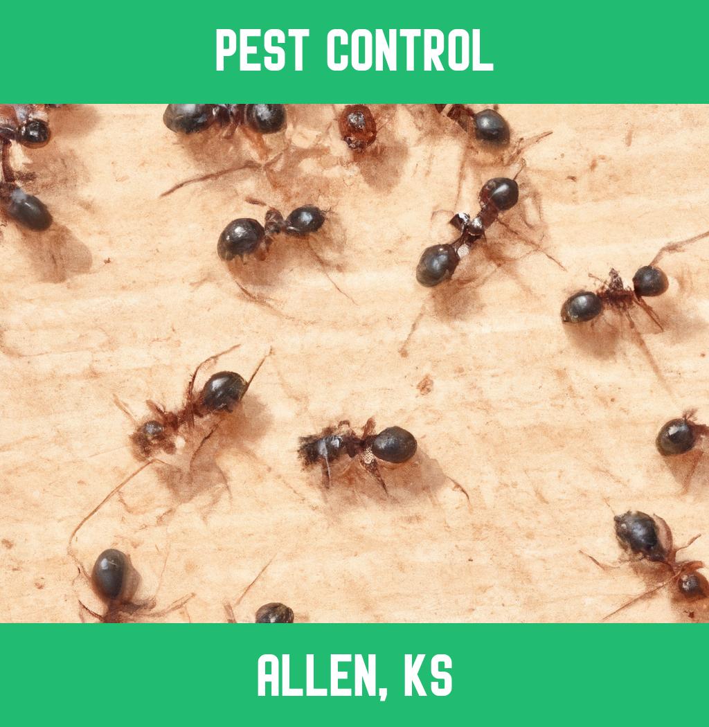 pest control in Allen Kansas