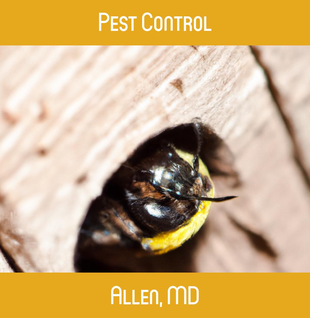 pest control in Allen Maryland