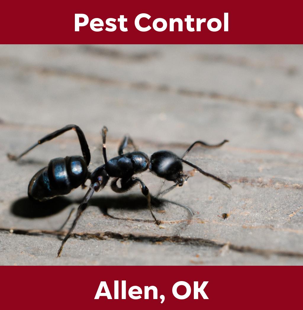 pest control in Allen Oklahoma
