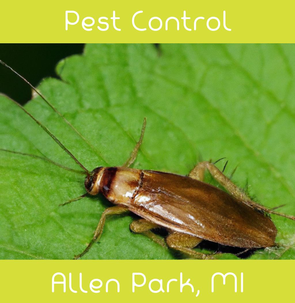 pest control in Allen Park Michigan