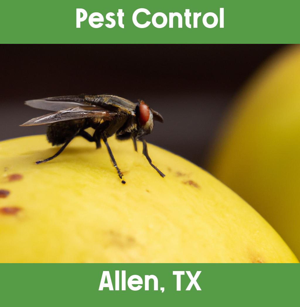 pest control in Allen Texas