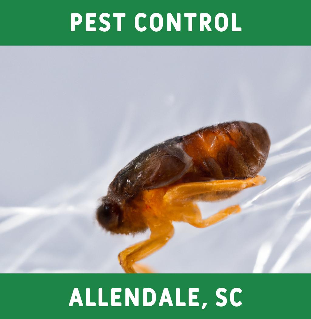 pest control in Allendale South Carolina