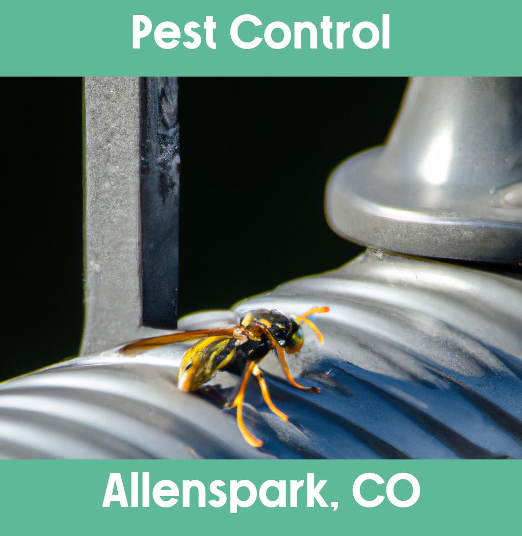 pest control in Allenspark Colorado