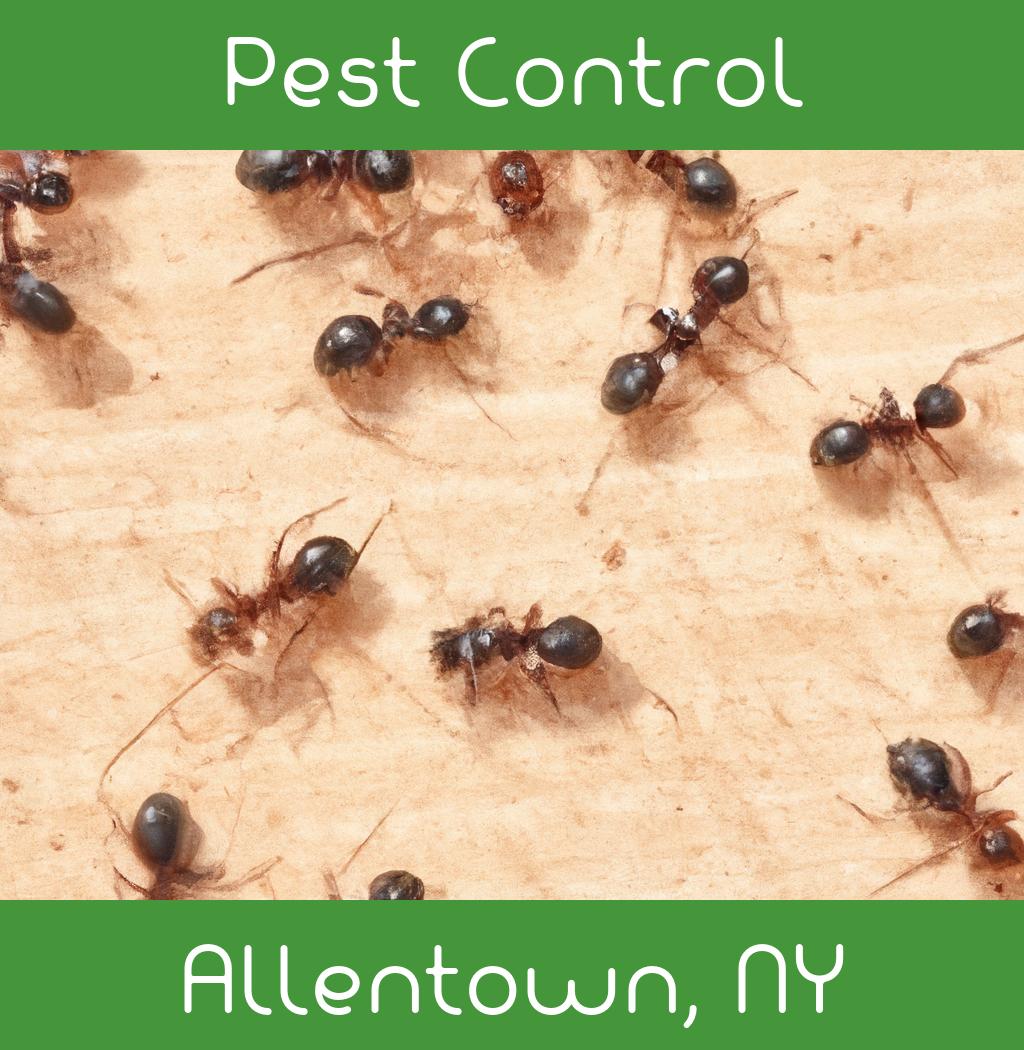 pest control in Allentown New York