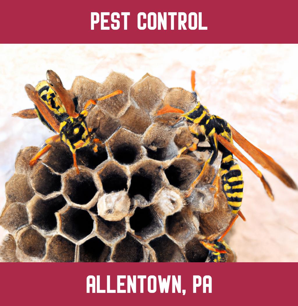 pest control in Allentown Pennsylvania