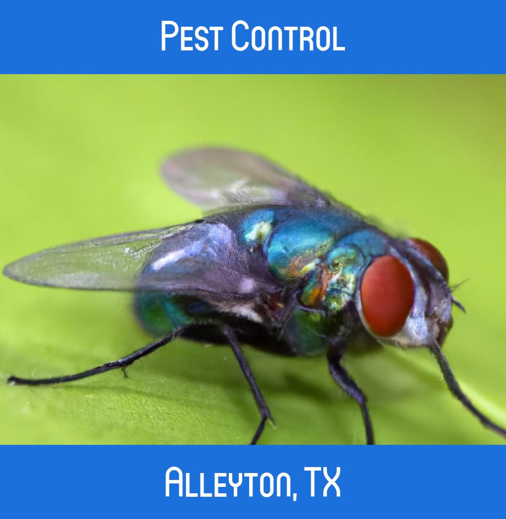 pest control in Alleyton Texas