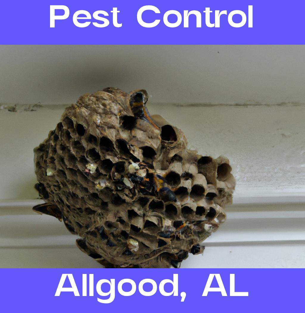 pest control in Allgood Alabama