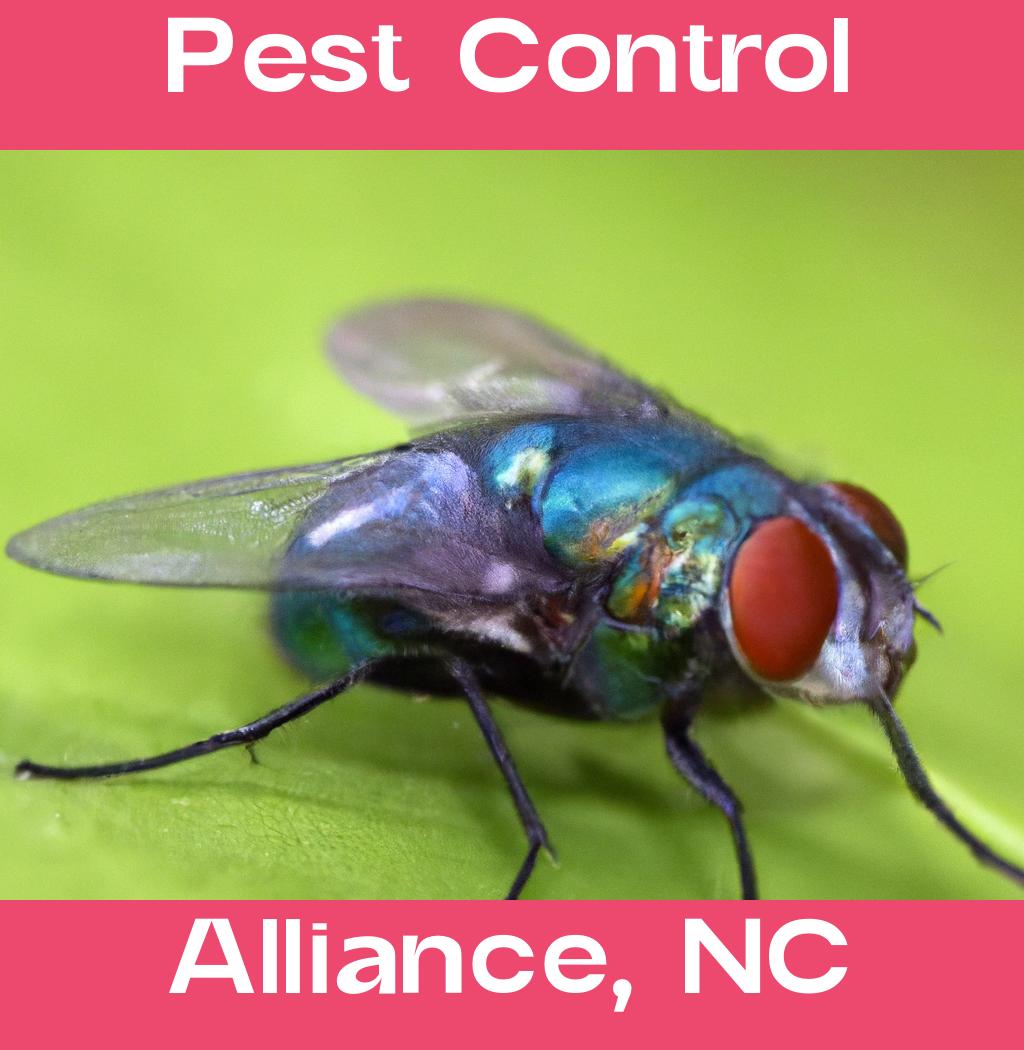 pest control in Alliance North Carolina