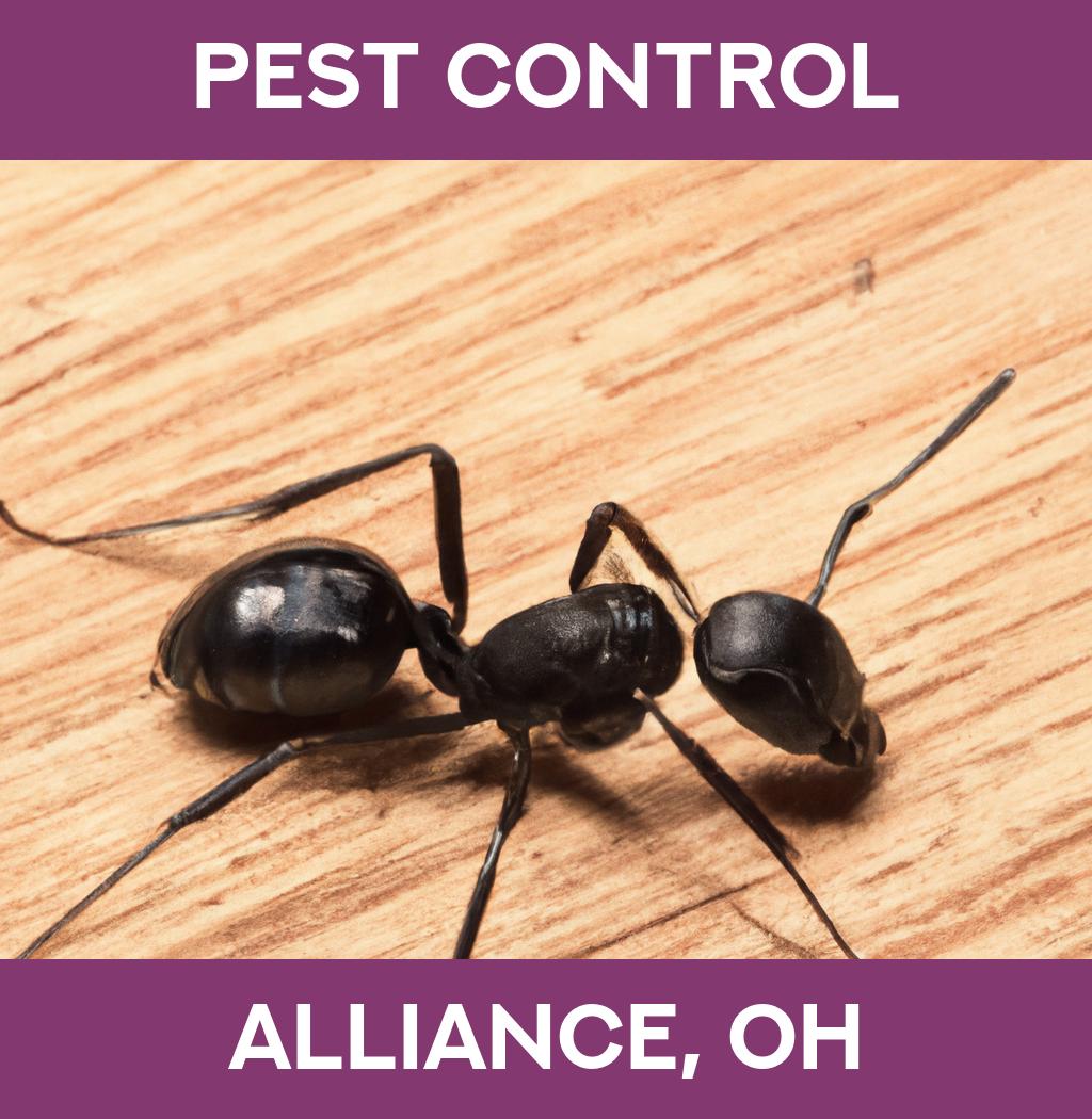 pest control in Alliance Ohio