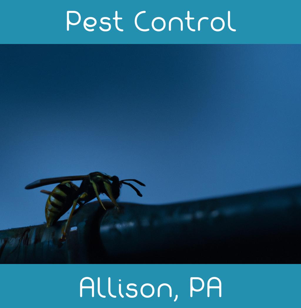 pest control in Allison Pennsylvania